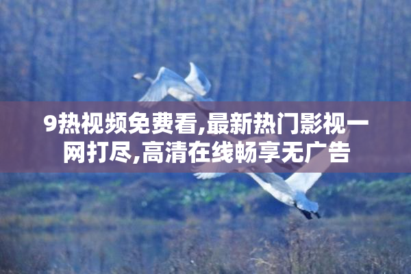 9热视频免费看,最新热门影视一网打尽,高清在线畅享无广告