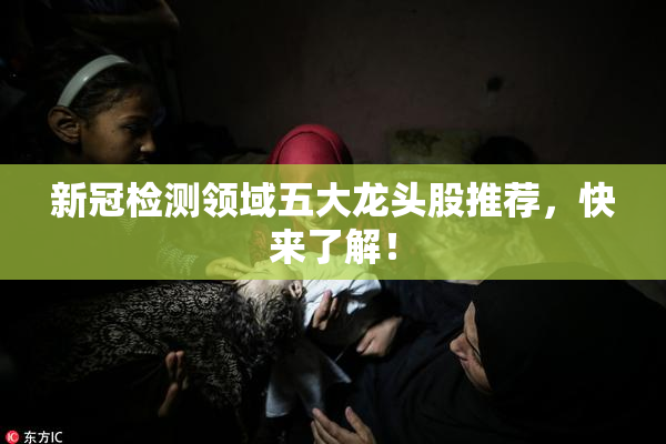 新冠检测领域五大龙头股推荐，快来了解！