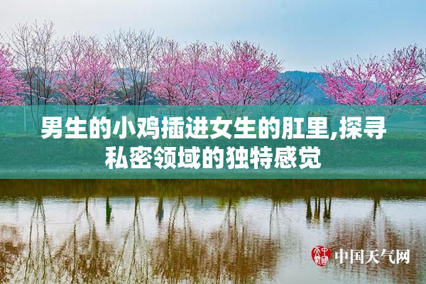 男生的小鸡插进女生的肛里,探寻私密领域的独特感觉