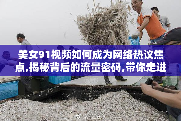 美女91视频如何成为网络热议焦点,揭秘背后的流量密码,带你走进不