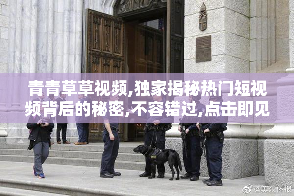 青青草草视频,独家揭秘热门短视频背后的秘密,不容错过,点击即见