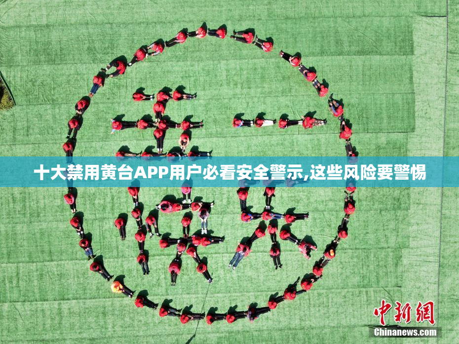 十大禁用黄台APP用户必看安全警示,这些风险要警惕