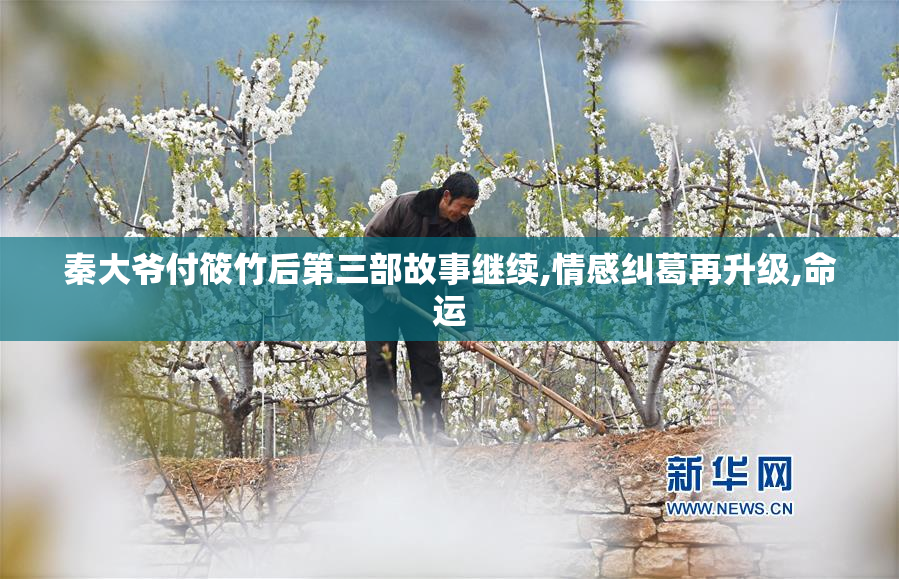 秦大爷付筱竹后第三部故事继续,情感纠葛再升级,命运