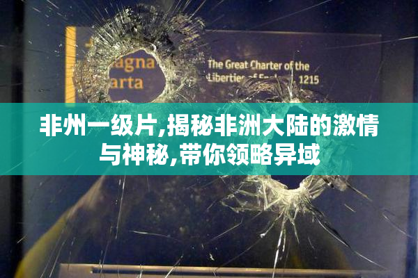 非州一级片,揭秘非洲大陆的激情与神秘,带你领略异域