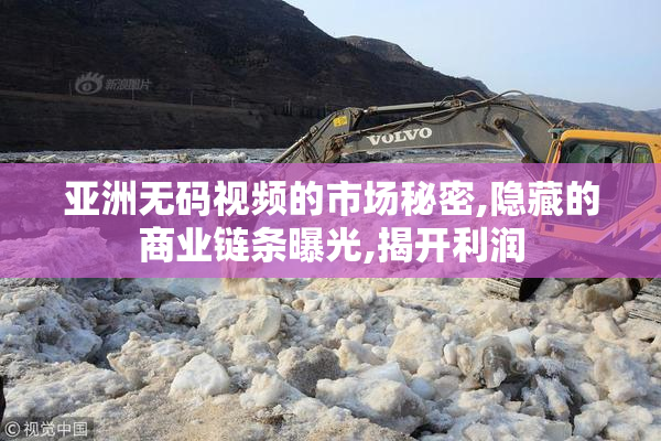 亚洲无码视频的市场秘密,隐藏的商业链条曝光,揭开利润
