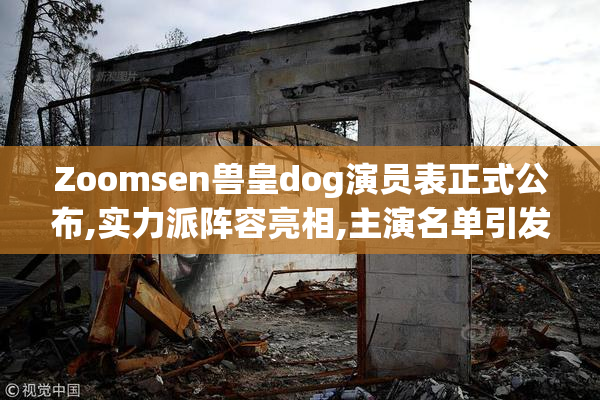 Zoomsen兽皇dog演员表正式公布,实力派阵容亮相,主演名单引发热议