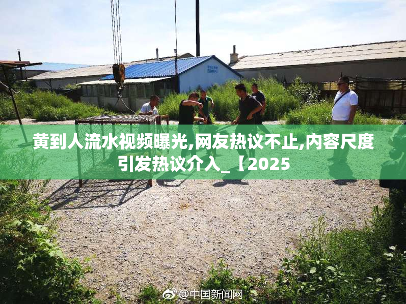 黄到人流水视频曝光,网友热议不止,内容尺度引发热议介入_【2025