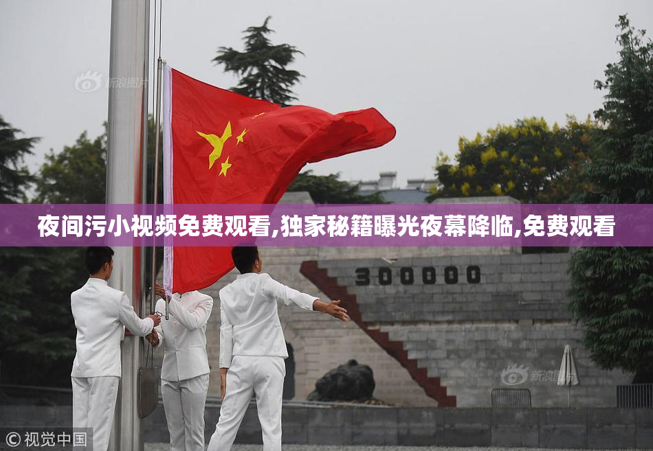 夜间污小视频免费观看,独家秘籍曝光夜幕降临,免费观看