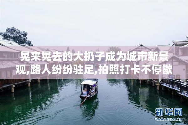 晃来晃去的大扔子成为城市新景观,路人纷纷驻足,拍照打卡不停歇
