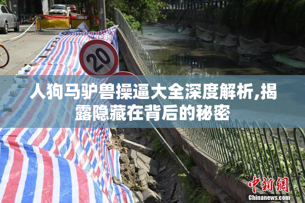 人狗马驴兽操逼大全深度解析,揭露隐藏在背后的秘密