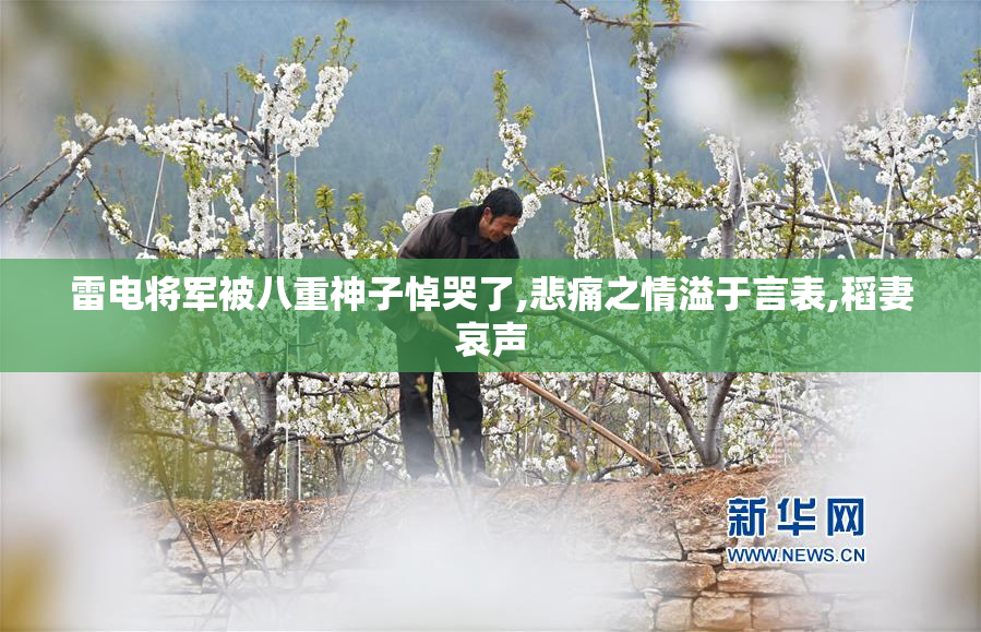 雷电将军被八重神子悼哭了,悲痛之情溢于言表,稻妻哀声