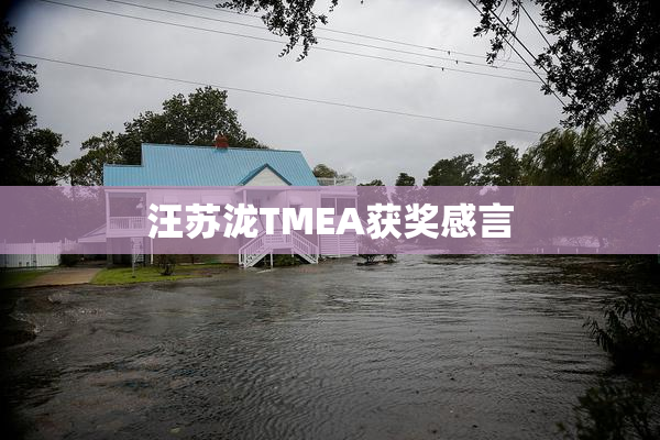 汪苏泷TMEA获奖感言
