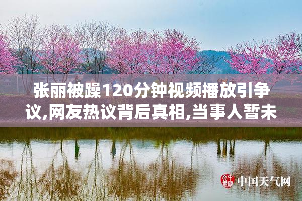 张丽被躁120分钟视频播放引争议,网友热议背后真相,当事人暂未回应