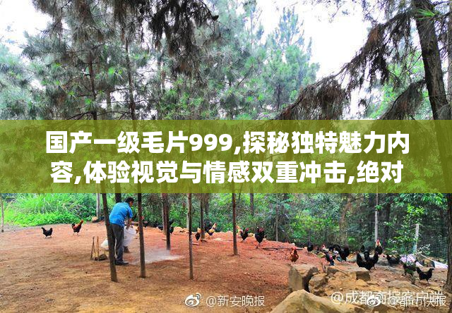 国产一级毛片999,探秘独特魅力内容,体验视觉与情感双重冲击,绝对