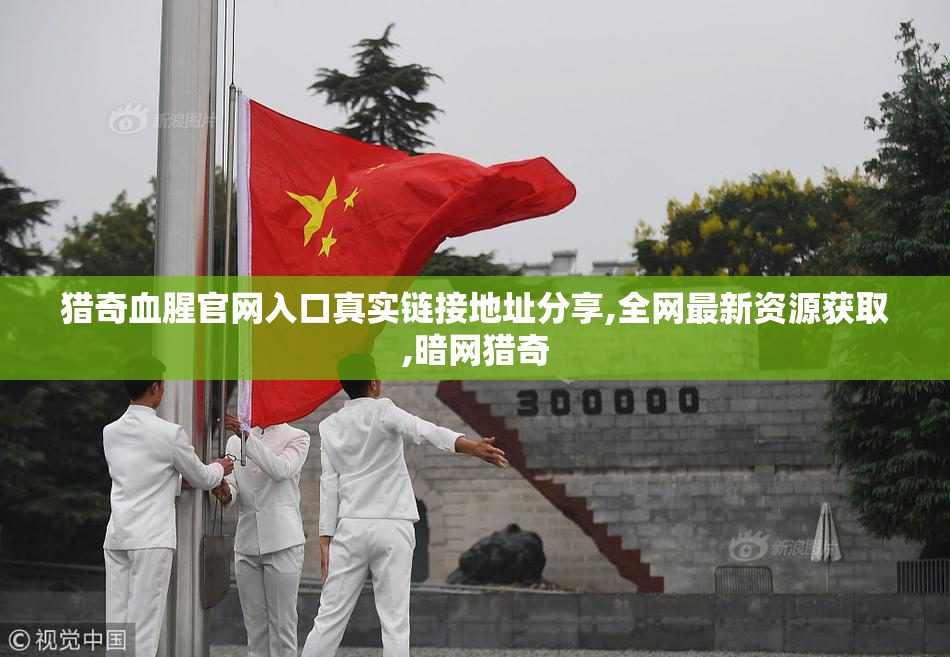 猎奇血腥官网入口真实链接地址分享,全网最新资源获取,暗网猎奇