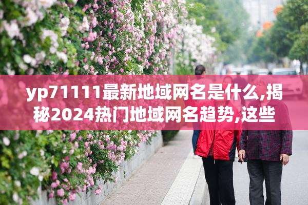 yp71111最新地域网名是什么,揭秘2024热门地域网名趋势,这些爆款