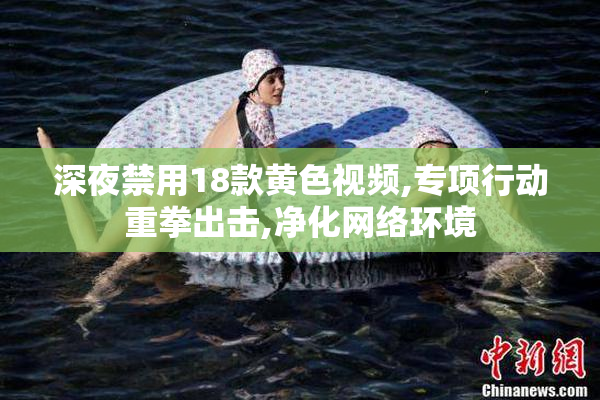 深夜禁用18款黄色视频,专项行动重拳出击,净化网络环境