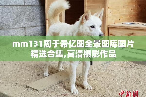 mm131周于希亿图全景图库图片精选合集,高清摄影作品