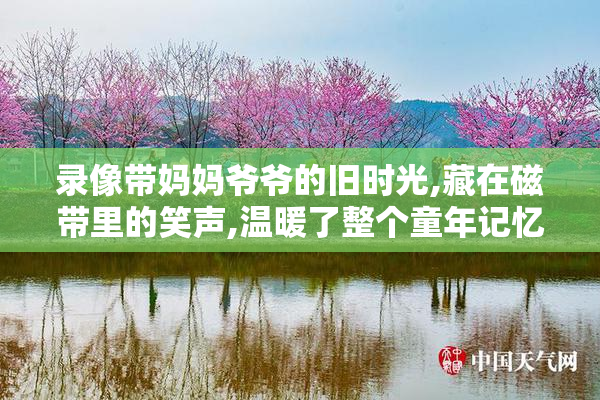 录像带妈妈爷爷的旧时光,藏在磁带里的笑声,温暖了整个童年记忆