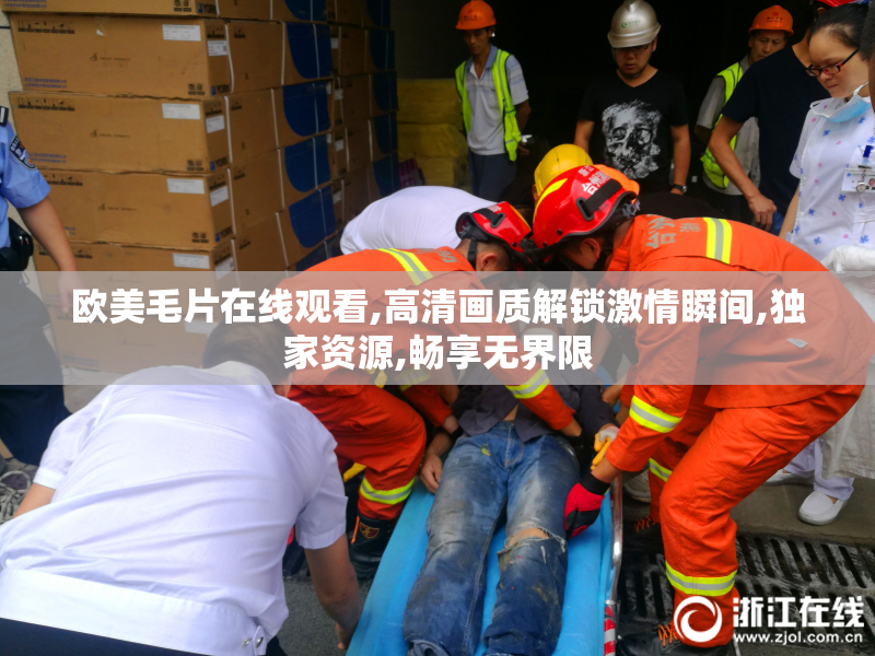 欧美毛片在线观看,高清画质解锁激情瞬间,独家资源,畅享无界限