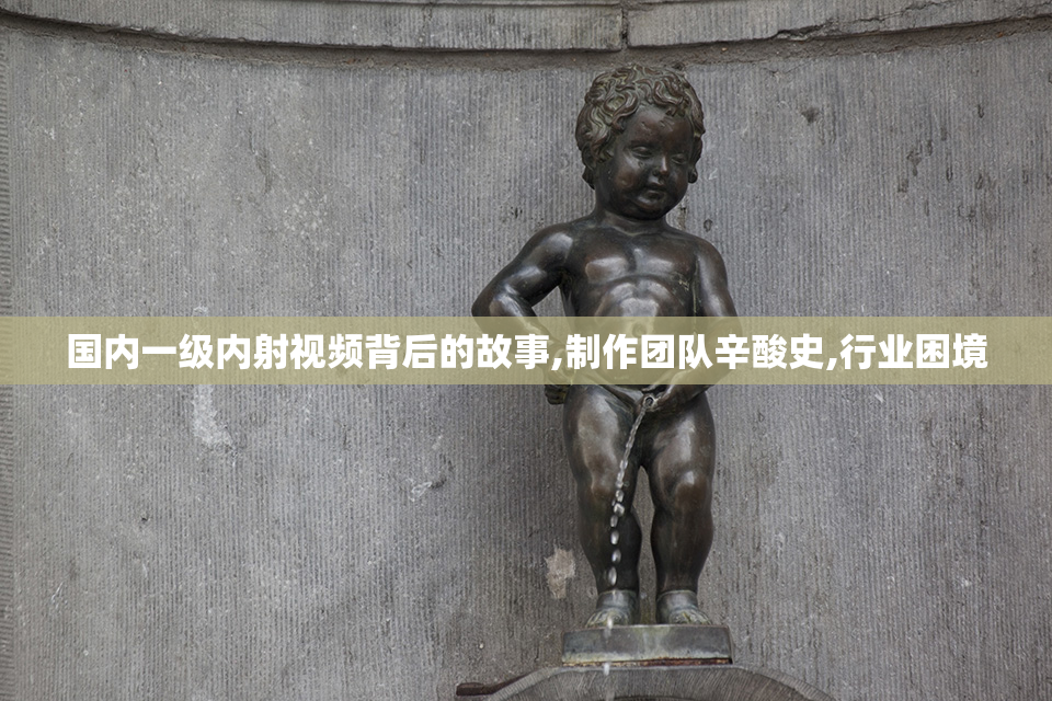 国内一级内射视频背后的故事,制作团队辛酸史,行业困境
