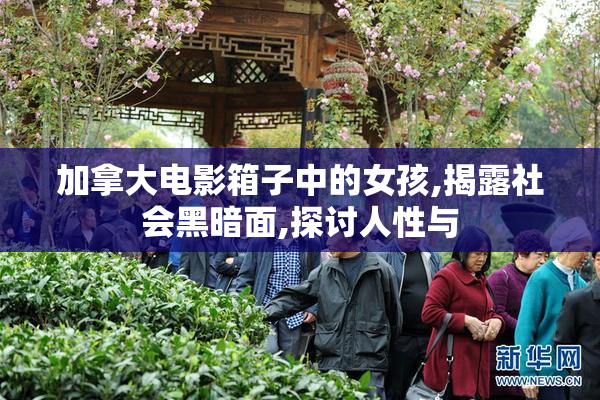 加拿大电影箱子中的女孩,揭露社会黑暗面,探讨人性与