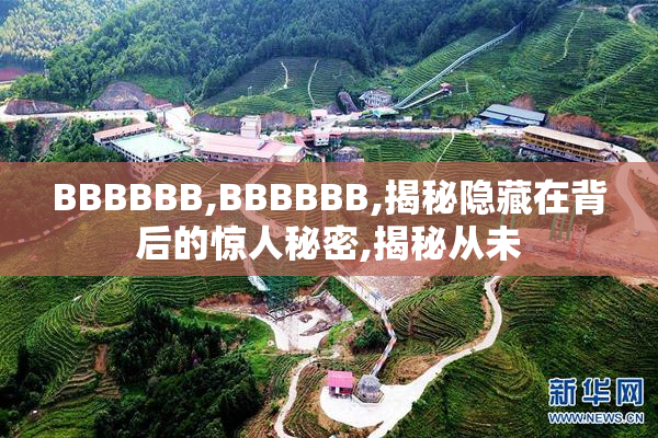 BBBBBB,BBBBBB,揭秘隐藏在背后的惊人秘密,揭秘从未