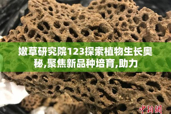 嫩草研究院123探索植物生长奥秘,聚焦新品种培育,助力