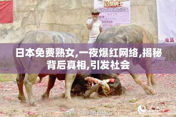 日本免费熟女,一夜爆红网络,揭秘背后真相,引发社会