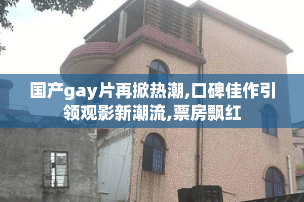 国产gay片再掀热潮,口碑佳作引领观影新潮流,票房飘红