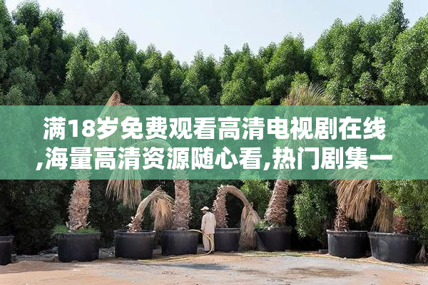 满18岁免费观看高清电视剧在线,海量高清资源随心看,热门剧集一网