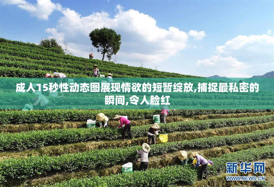成人15秒性动态图展现情欲的短暂绽放,捕捉最私密的瞬间,令人脸红