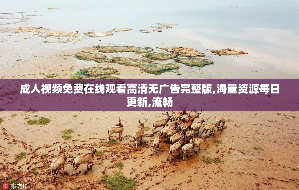 成人视频免费在线观看高清无广告完整版,海量资源每日更新,流畅