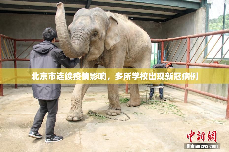 北京市连续疫情影响，多所学校出现新冠病例