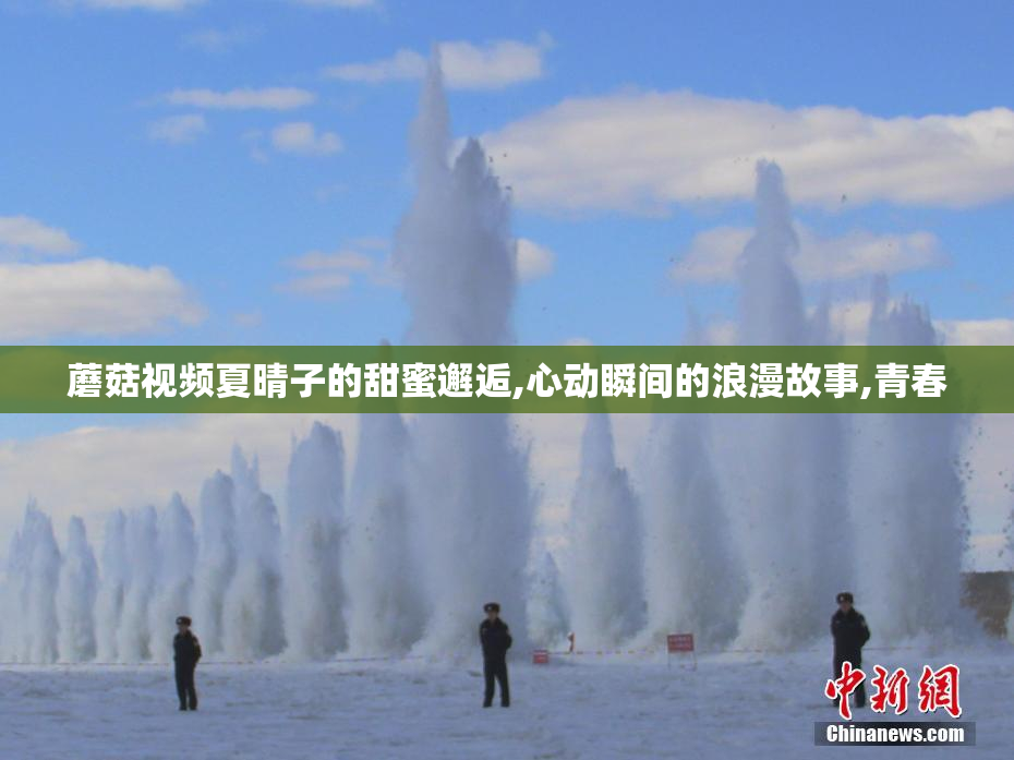 蘑菇视频夏晴子的甜蜜邂逅,心动瞬间的浪漫故事,青春