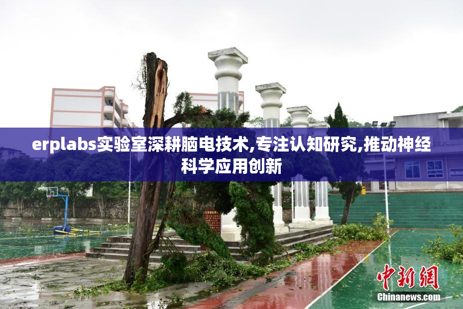 erplabs实验室深耕脑电技术,专注认知研究,推动神经科学应用创新