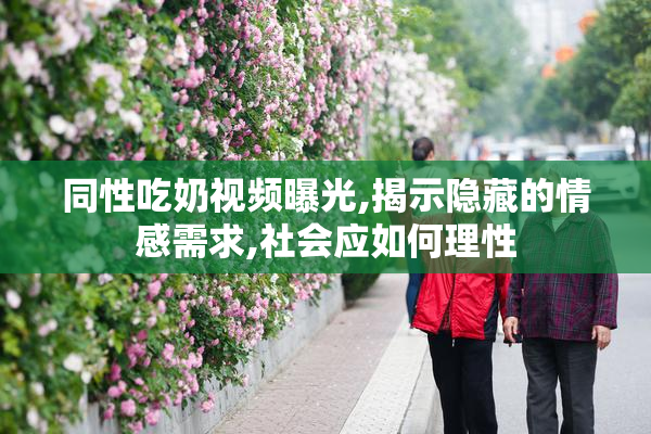 同性吃奶视频曝光,揭示隐藏的情感需求,社会应如何理性