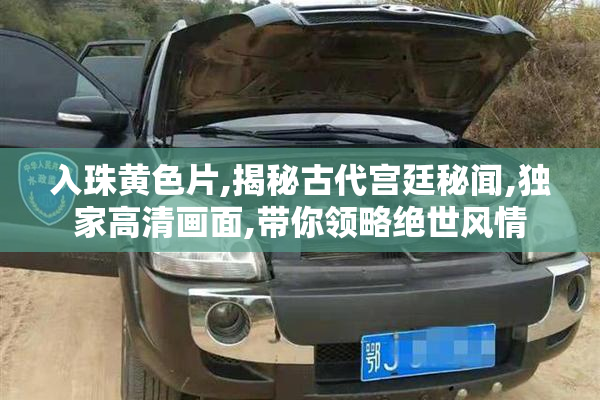 入珠黄色片,揭秘古代宫廷秘闻,独家高清画面,带你领略绝世风情