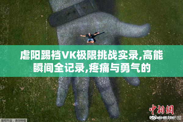虐阳踢裆VK极限挑战实录,高能瞬间全记录,疼痛与勇气的