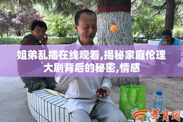 姐弟乱插在线观看,揭秘家庭伦理大剧背后的秘密,情感