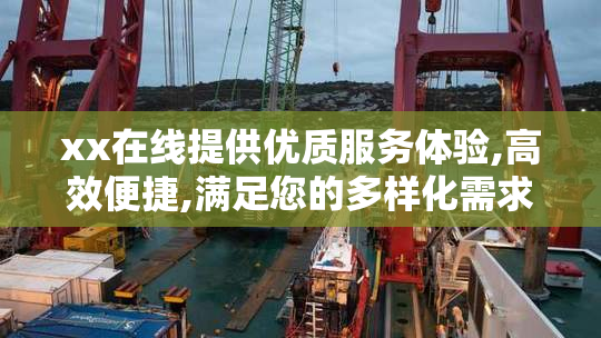 xx在线提供优质服务体验,高效便捷,满足您的多样化需求