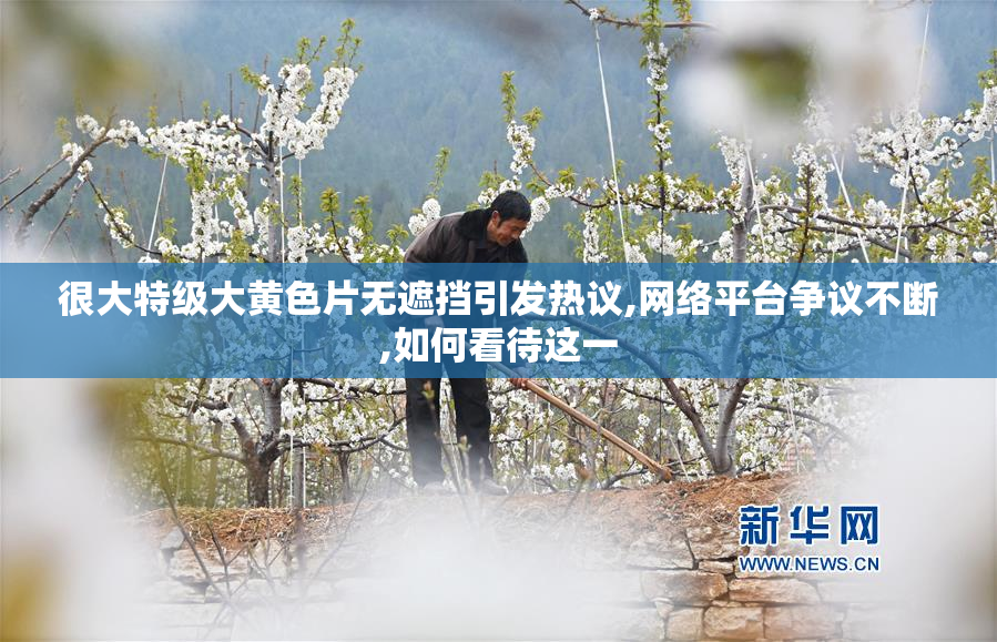 很大特级大黄色片无遮挡引发热议,网络平台争议不断,如何看待这一