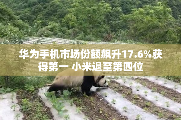 华为手机市场份额飙升17.6%获得第一 小米退至第四位
