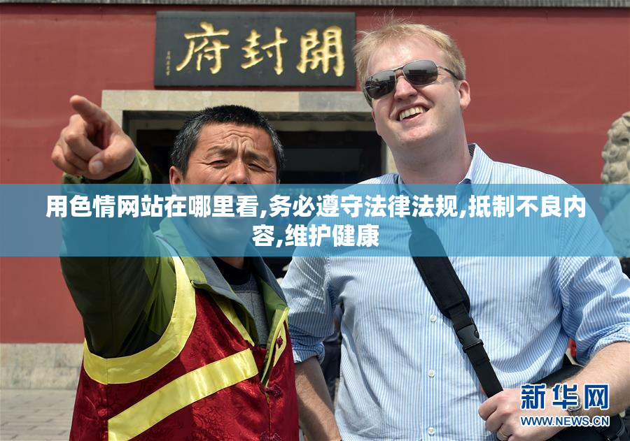用色情网站在哪里看,务必遵守法律法规,抵制不良内容,维护健康