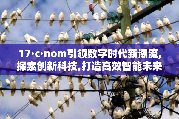 17·c·nom引领数字时代新潮流,探索创新科技,打造高效智能未来