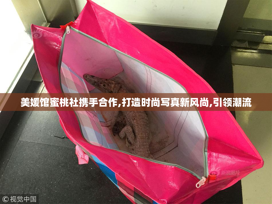 美媛馆蜜桃社携手合作,打造时尚写真新风尚,引领潮流