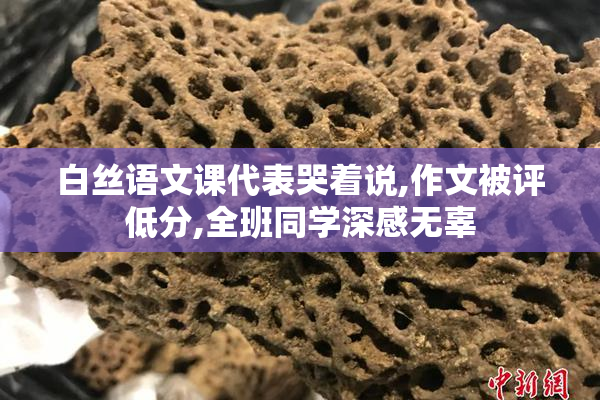 白丝语文课代表哭着说,作文被评低分,全班同学深感无辜