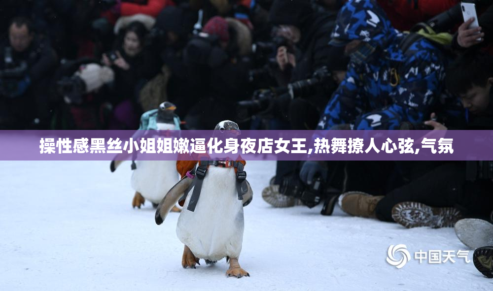 操性感黑丝小姐姐嫩逼化身夜店女王,热舞撩人心弦,气氛