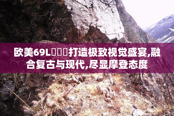 欧美69L乂乂乂打造极致视觉盛宴,融合复古与现代,尽显摩登态度