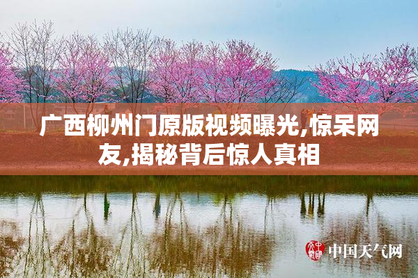 广西柳州门原版视频曝光,惊呆网友,揭秘背后惊人真相